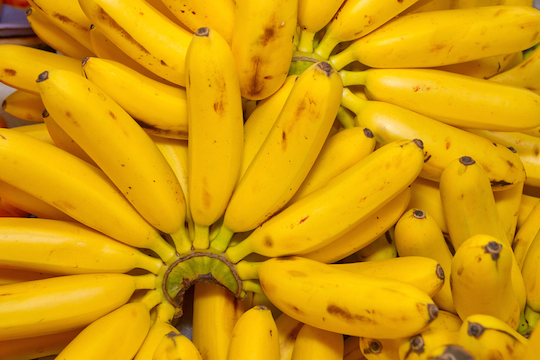 Bunch Of Organic Ripe Bananas